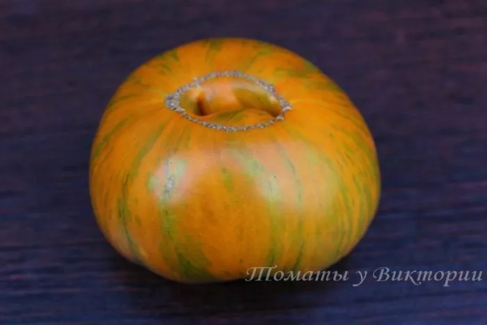 oranzhevyy-gabbana-5-175231