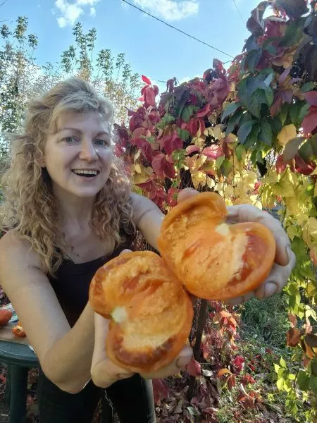 oranzhevyy-gabbana-8-175231