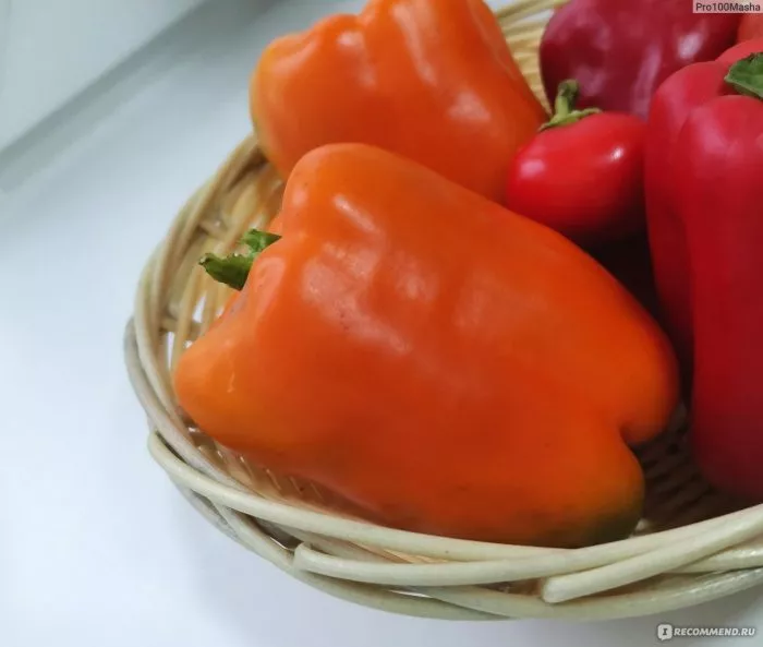 oranzhevyy-korol-8-182913