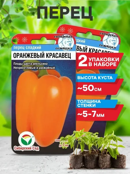 oranzhevyy-krasavets-5-186026