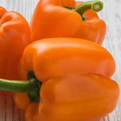 oranzhevyy-krasavets-9-186026