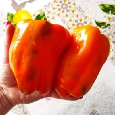 oranzhevyy-kub-6-179558