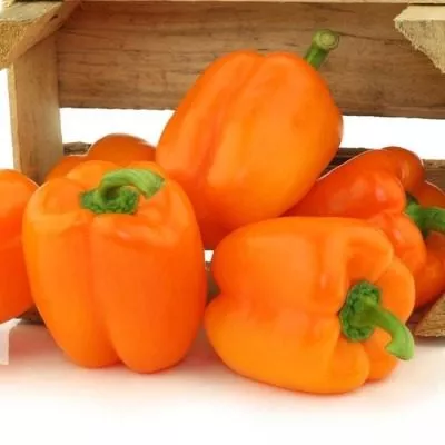 oranzhevyy-kub-8-179558