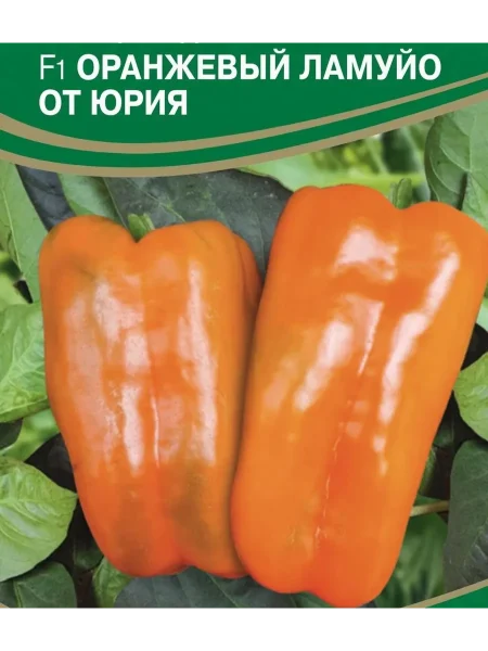 oranzhevyy-lamuyo-ot-yuriya-2-188699