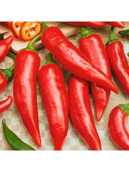 ostryy-yazychok-main-186239