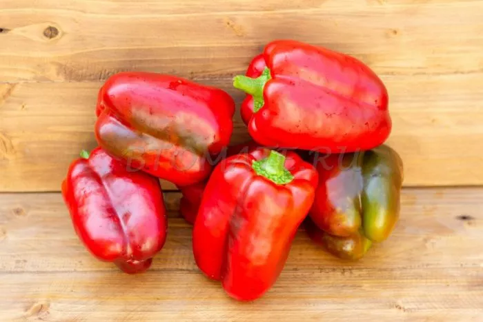 ozharovskiy-main-190660