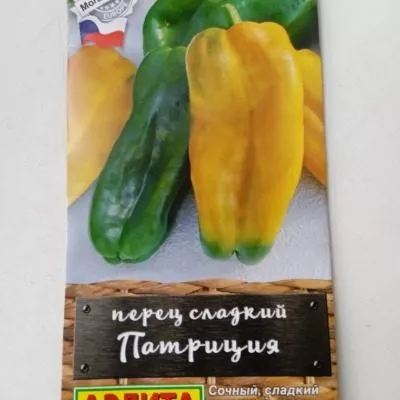 patritsiya-11-188909