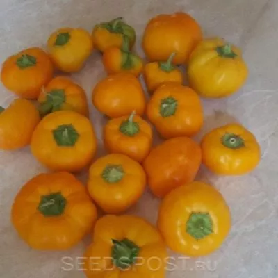 pechenoe-yablochko-5-185353