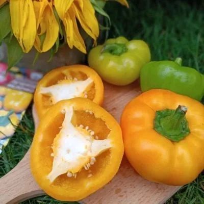 pechenoe-yablochko-6-185353