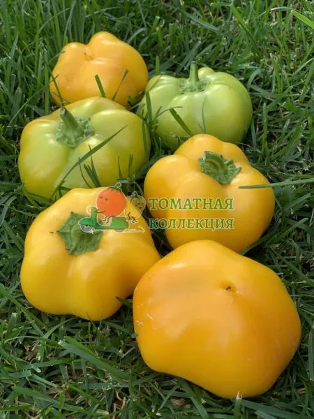 pechenoe-yablochko-main-185353