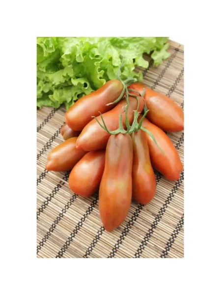 pertsevidnyy-shokoladnyy-2-176303