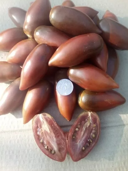 pertsevidnyy-shokoladnyy-5-176303