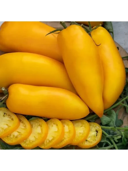 pertsevidnyy-zhyoltyy-2-168945