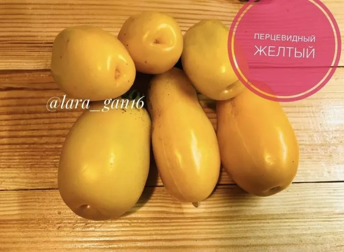 pertsevidnyy-zhyoltyy-3-168945