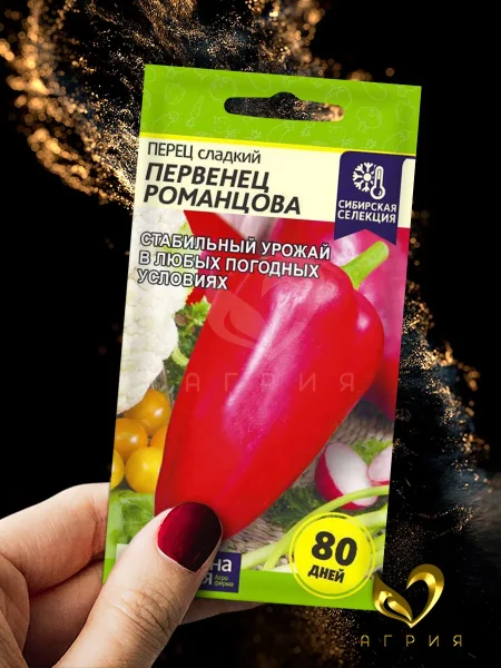 pervenets-romantsova-2-181626