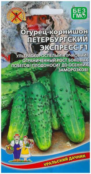 peterburgskiy-ekspress-1-192569