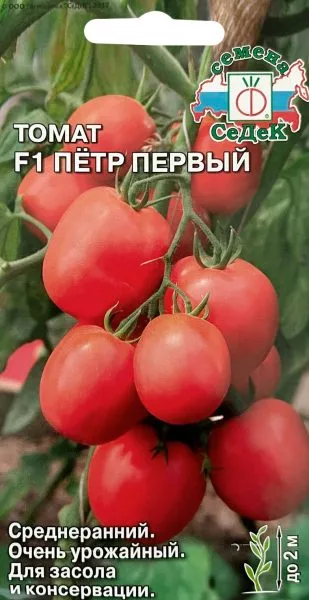 petr-pervyy-2-175325