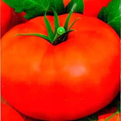 petr-pervyy-5-175325