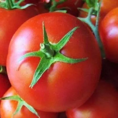 petr-pervyy-7-175325