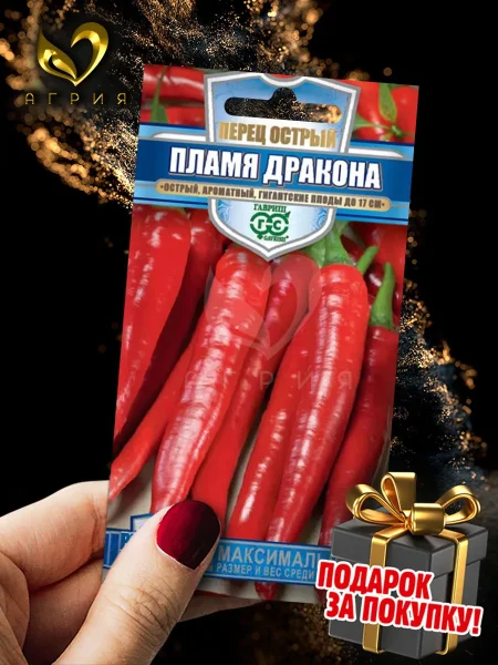 plamya-drakona-5-179552