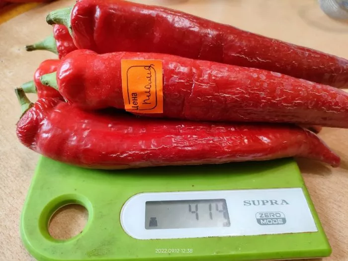 plamya-drakona-6-179552