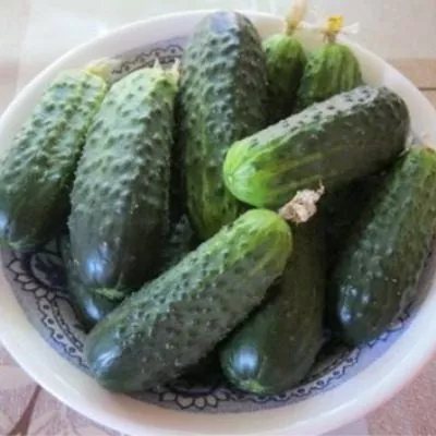 po-schuchemu-veleniyu-4-199873