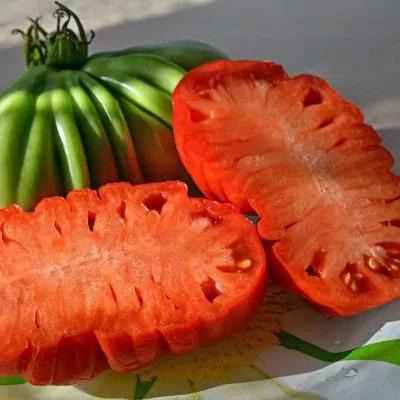 polnaya-kubyshka-6-175498