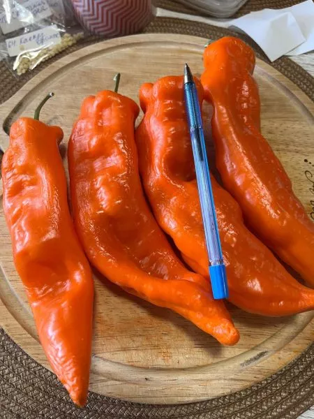 ramiro-oranzhevyy-11-184315