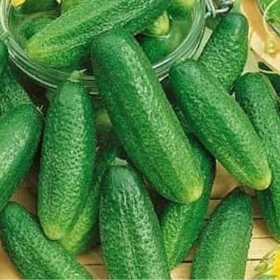 rassolnik-main-192820