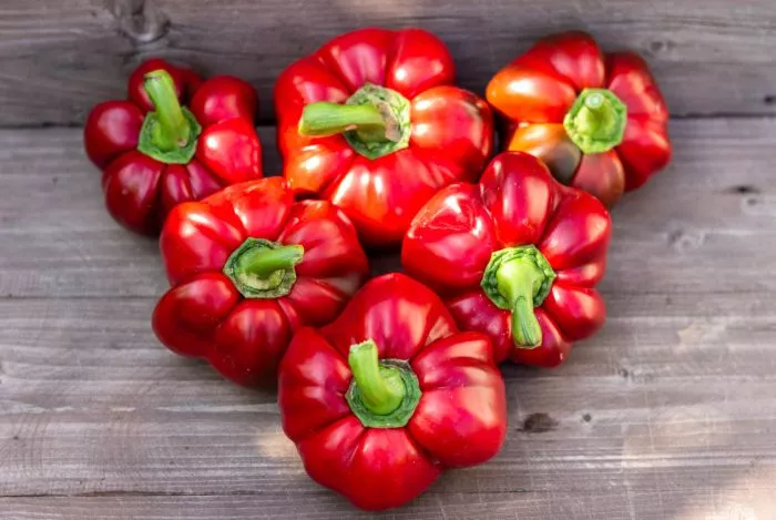 red-rufl-pimento-red-ruffle-pimento-2-180269