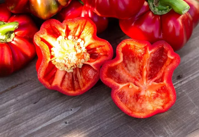 red-rufl-pimento-red-ruffle-pimento-4-180269