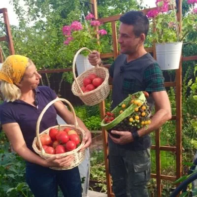 rozovyy-son-4-175475