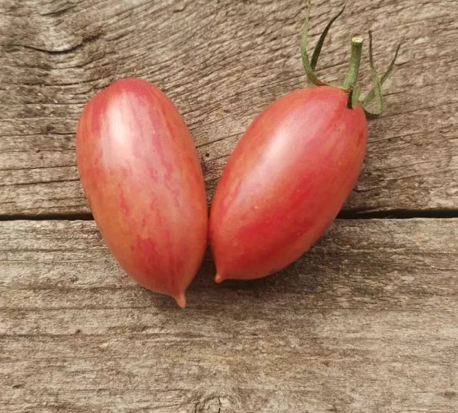 rozovyy-sviter-1-171722