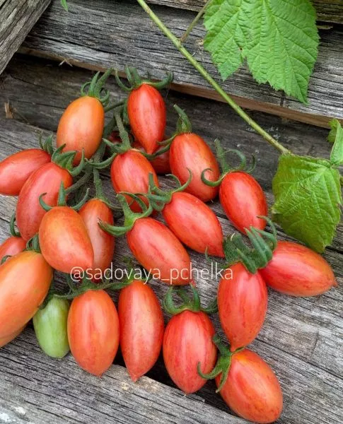 rozovyy-sviter-4-171722