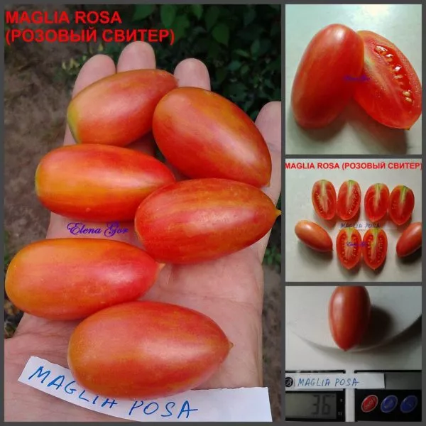 rozovyy-sviter-8-171722