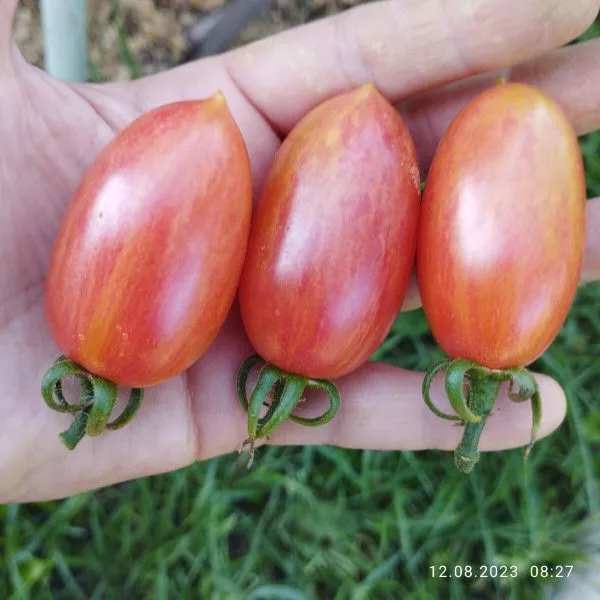 rozovyy-sviter-9-171722