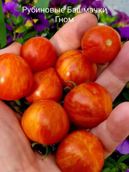 rubinovye-bashmachki-1-175804