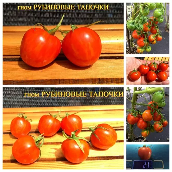 rubinovye-bashmachki-4-175804