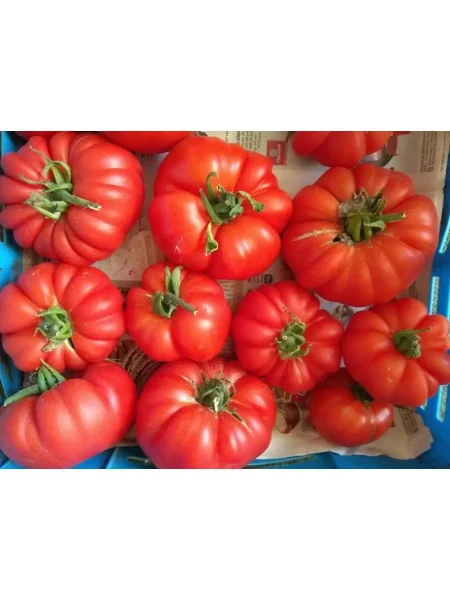 rubinovye-dolki-3-170626