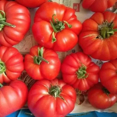 rubinovye-dolki-5-170626