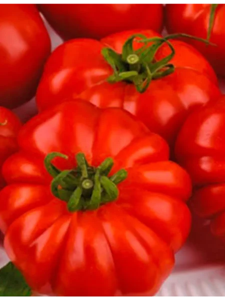 rubinovye-dolki-main-170626