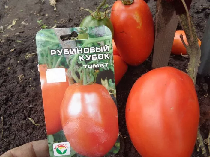 rubinovyy-kubok-4-175391