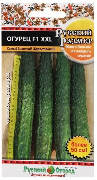 russkiy-razmer-xxl-1-200671