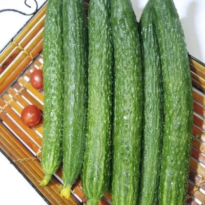 russkiy-razmer-xxl-main-200671