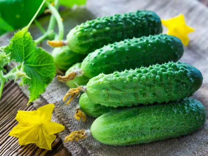 ryabchik-main-192294