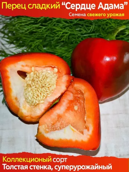 serdtse-adama-3-187215