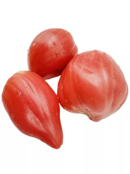 serdtse-marty-1-175591