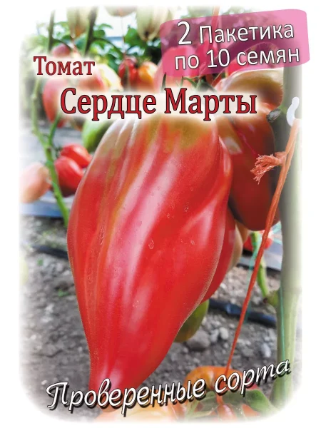 serdtse-marty-11-175591