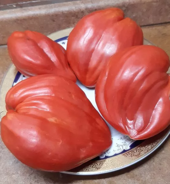 serdtse-marty-6-175591