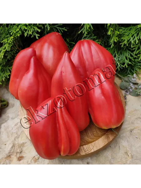 serdtse-marty-8-175591